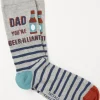 1 Pack Beerillant Socks