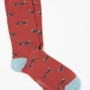 1 Pack Dachshund Socks