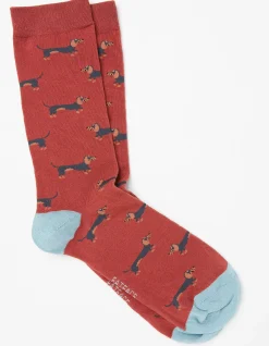 1 Pack Dachshund Socks