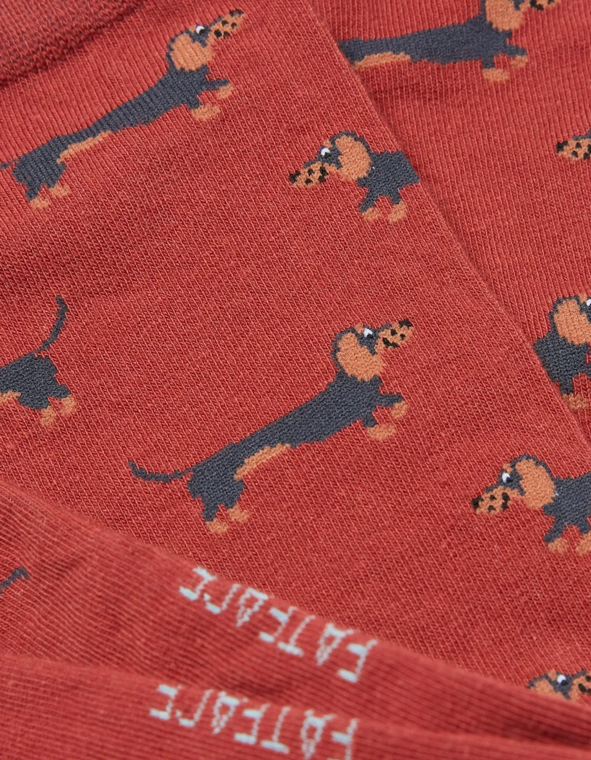 1 Pack Dachshund Socks