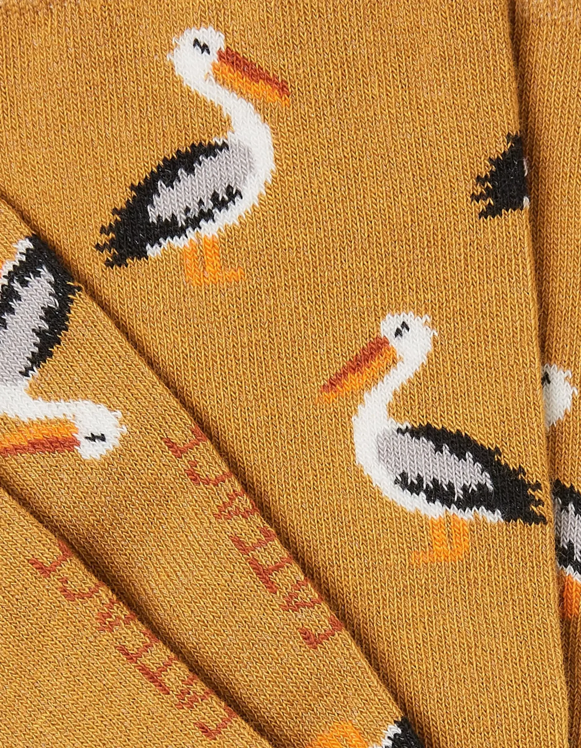 1 Pack Pelican Socks