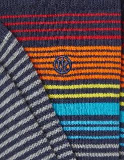 1 Pack Pop Stripe Socks