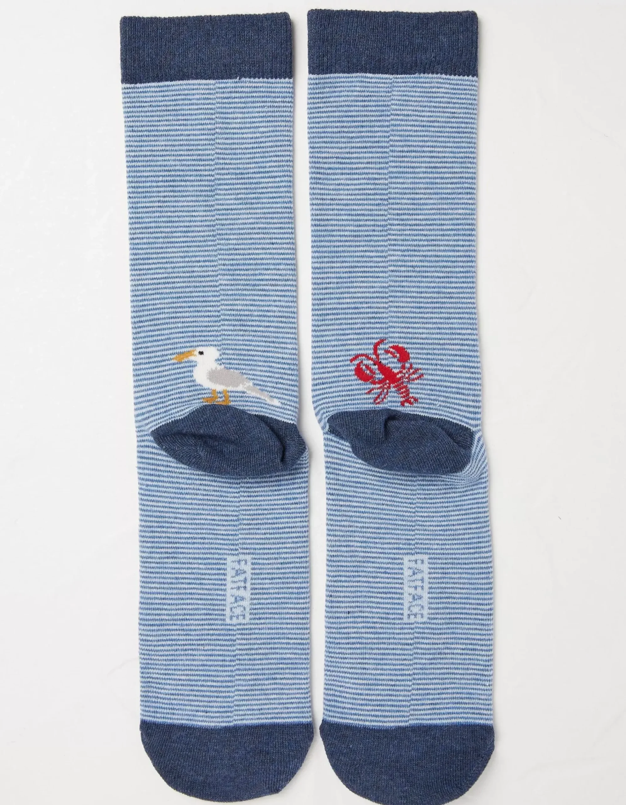 1 Pack Sealife Stripe Socks