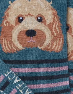 1 Pack Striped Dog Socks