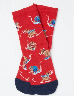 1 Pack Wilfred Woolly Mammoth Socks