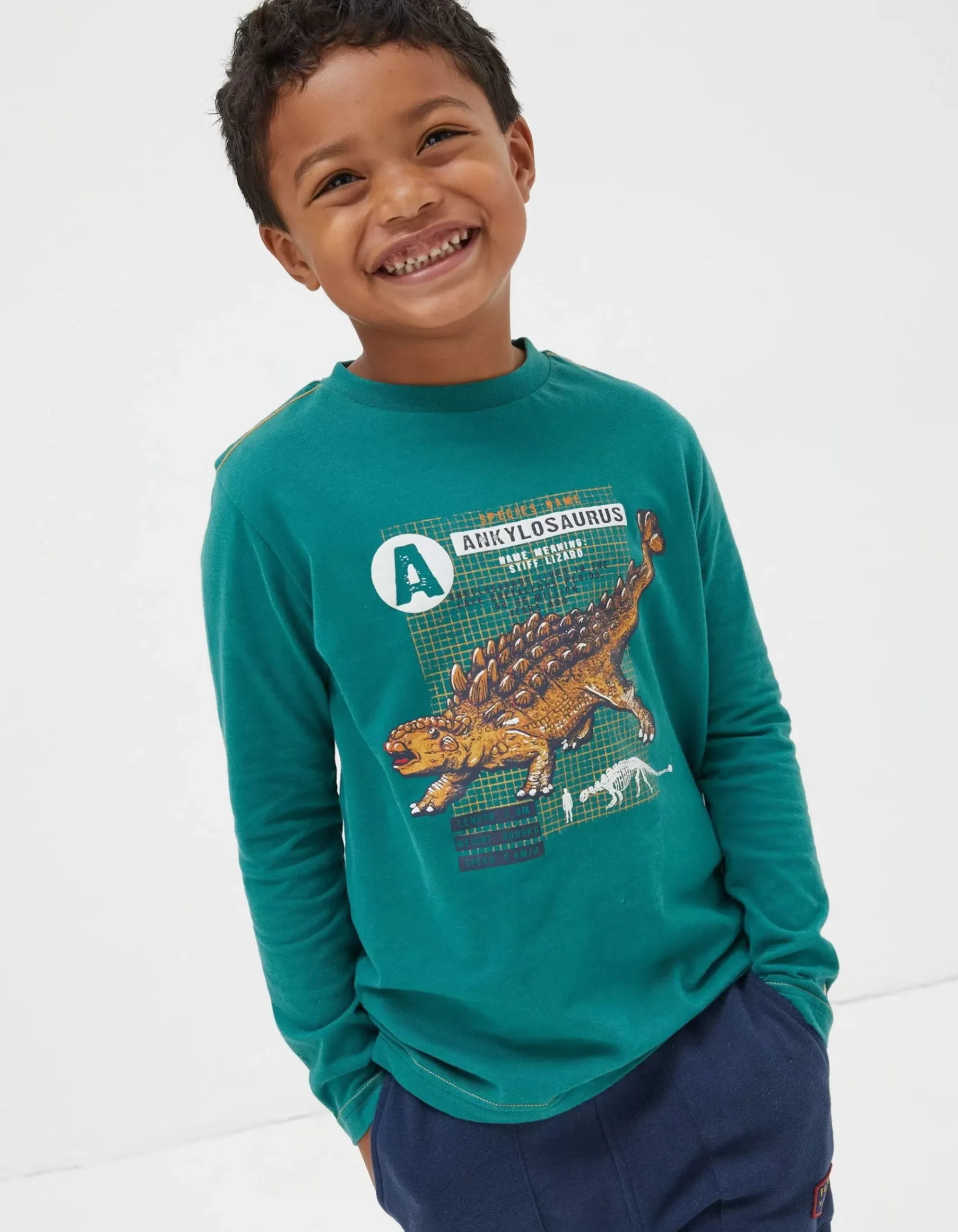 Ankylosaurus Graphic T Shirt