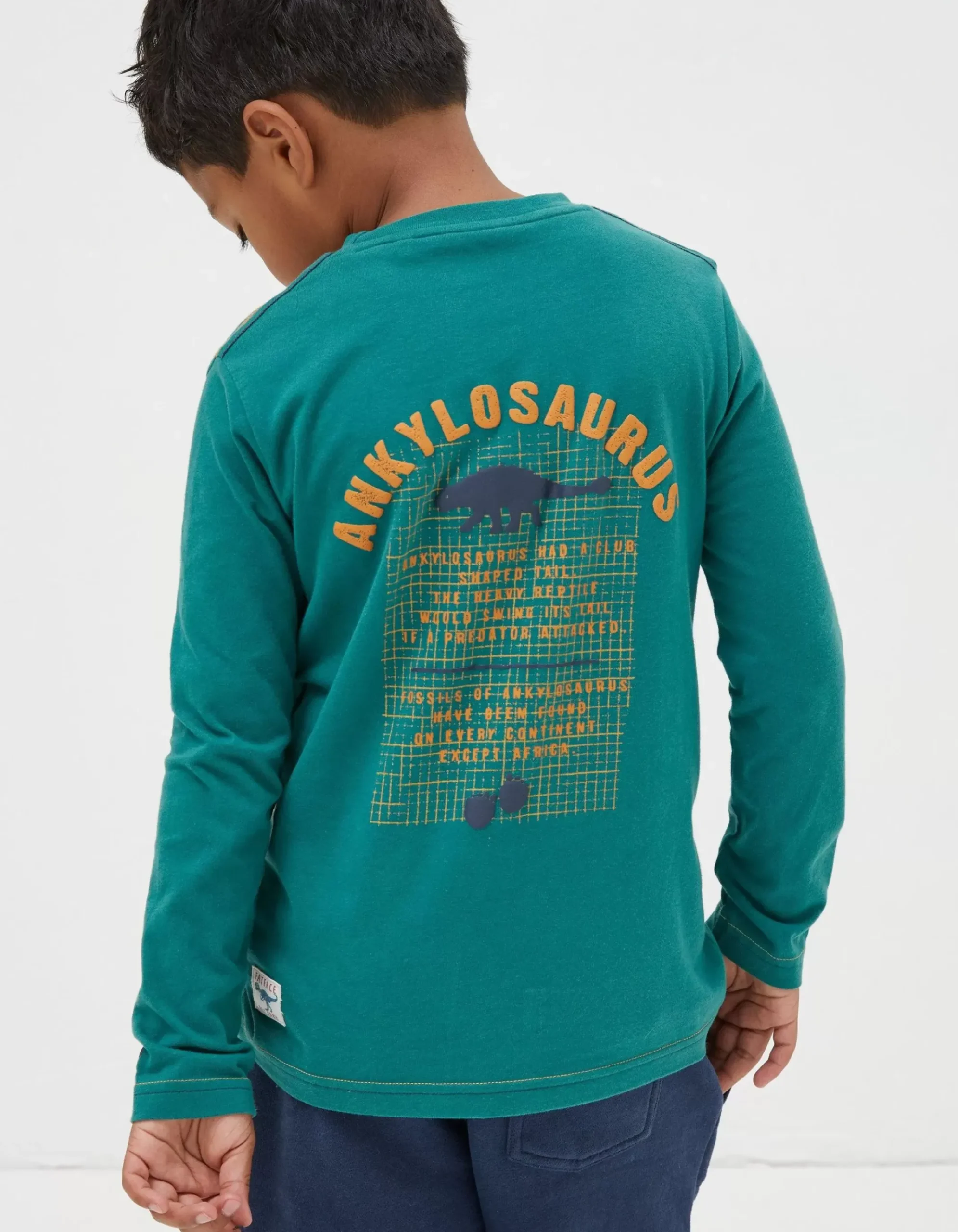 Ankylosaurus Graphic T Shirt