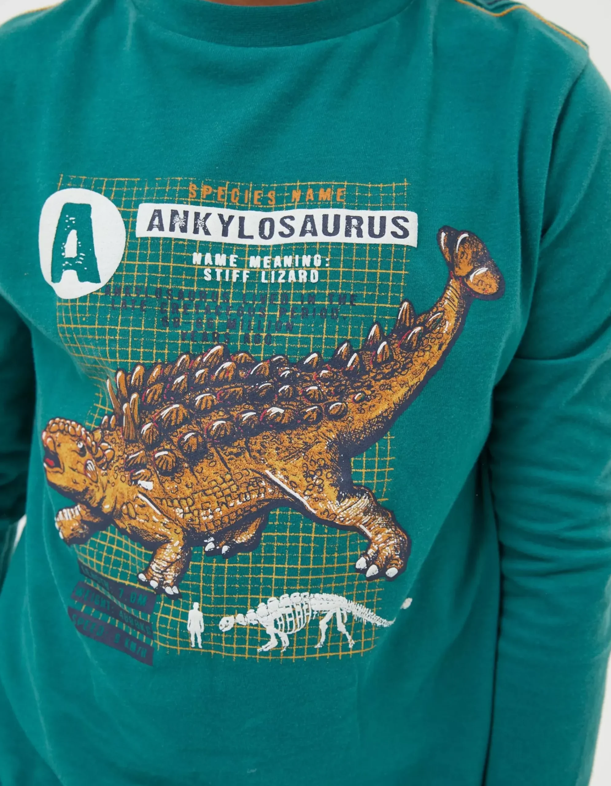 Ankylosaurus Graphic T Shirt