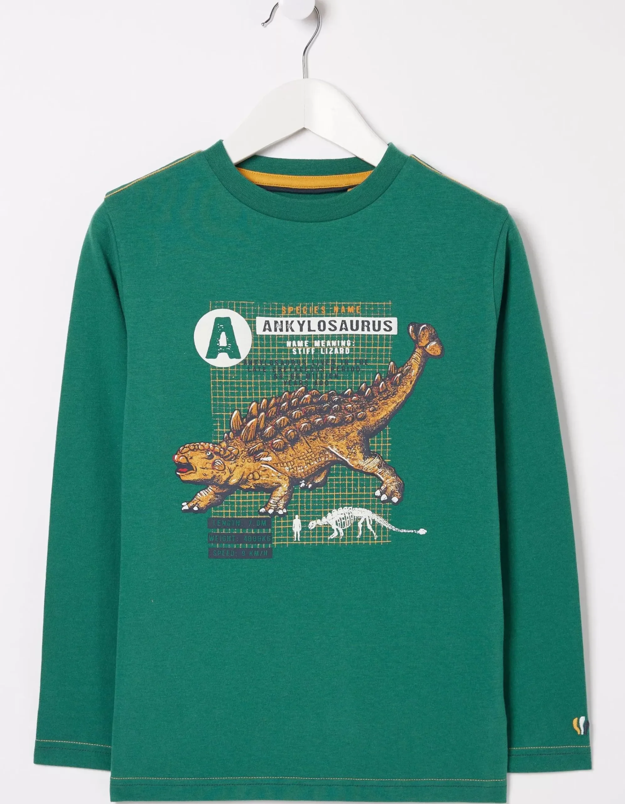 Ankylosaurus Graphic T Shirt