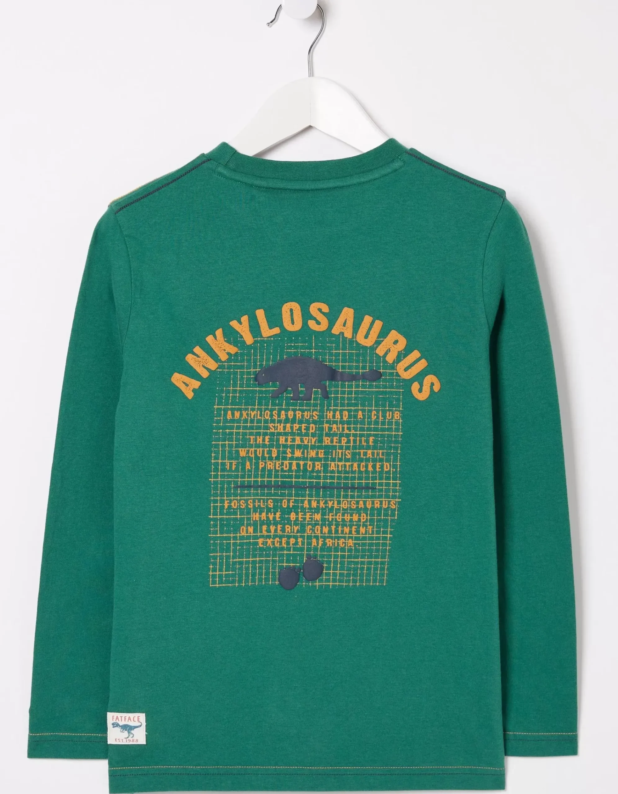 Ankylosaurus Graphic T Shirt