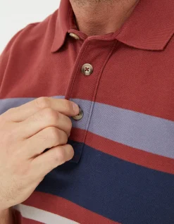 Chest Stripe Pique Polo