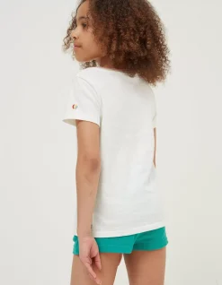 Flamingo Graphic T Shirt