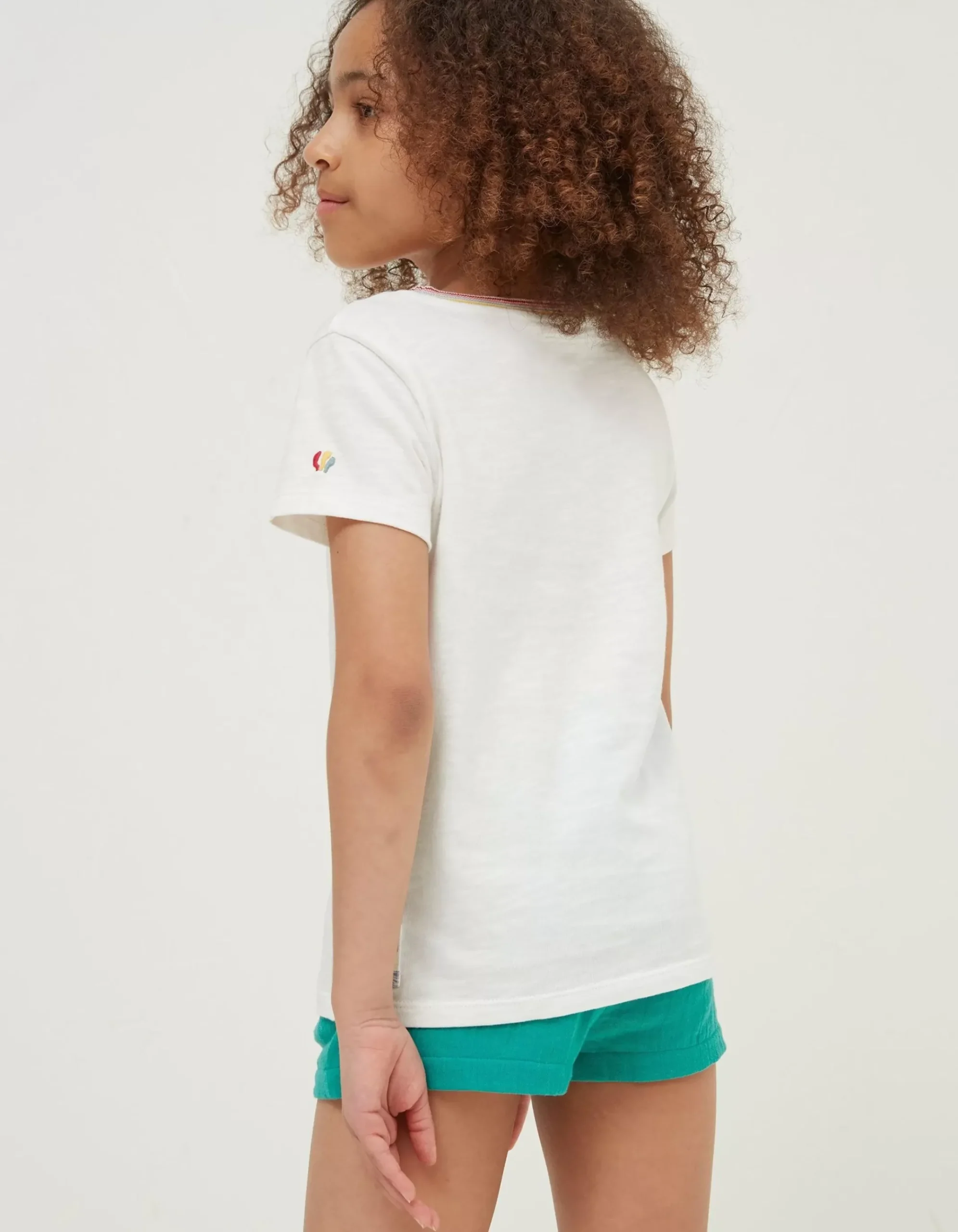 Flamingo Graphic T Shirt