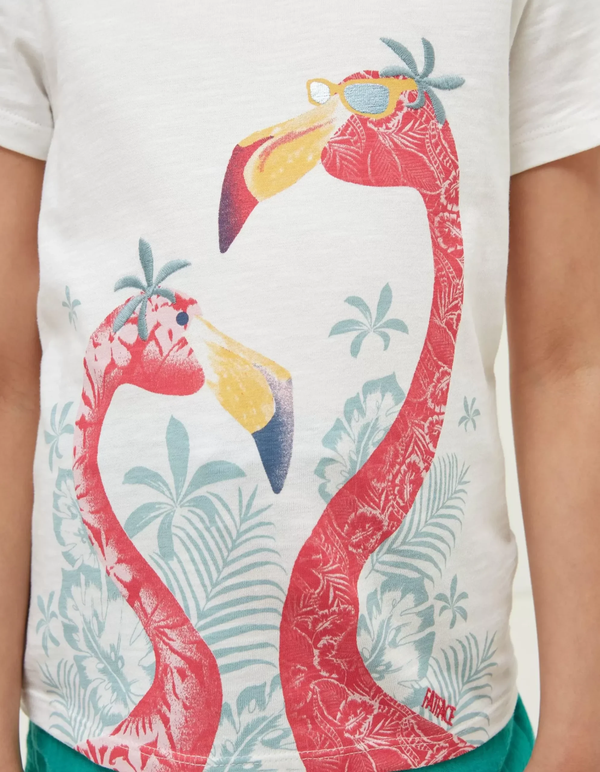 Flamingo Graphic T Shirt
