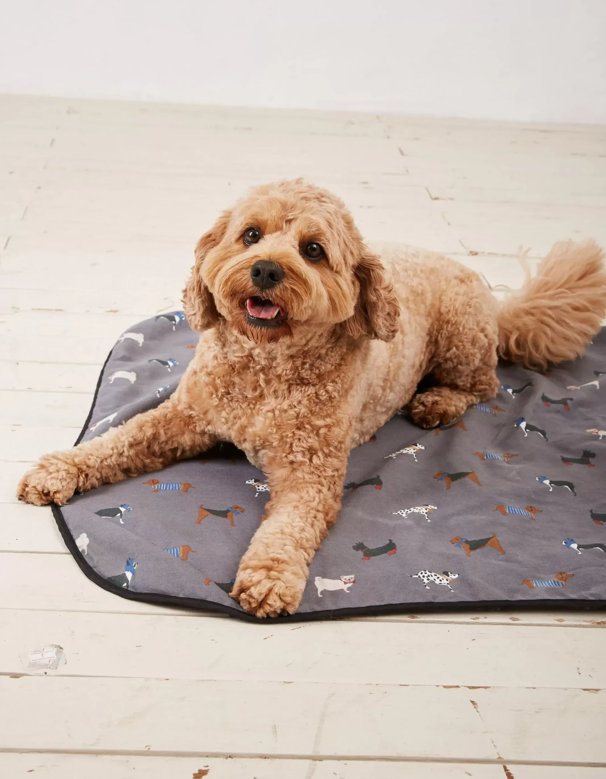 Marching Dogs Pet Blanket