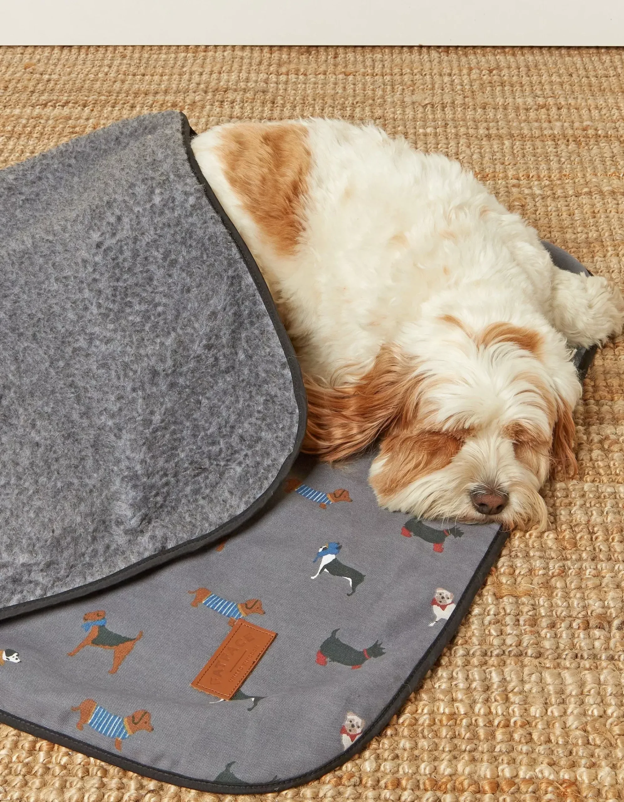 Marching Dogs Pet Blanket