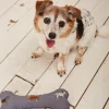 Marching Dogs Print Dog Toy