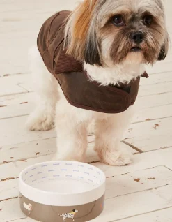 Marching Dogs Print Pet Bowl