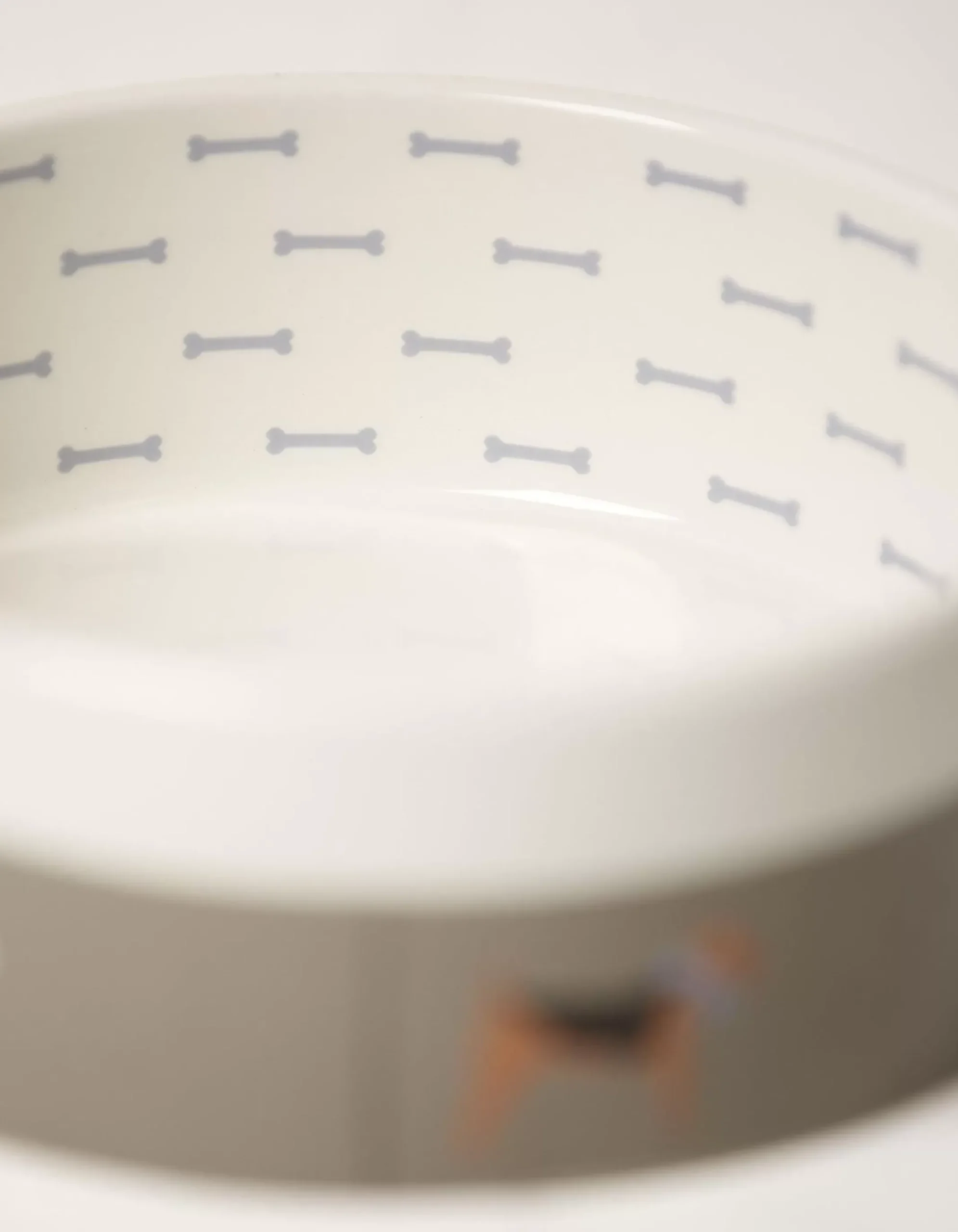 Marching Dogs Print Pet Bowl