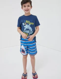 Shark Graphic Boardies