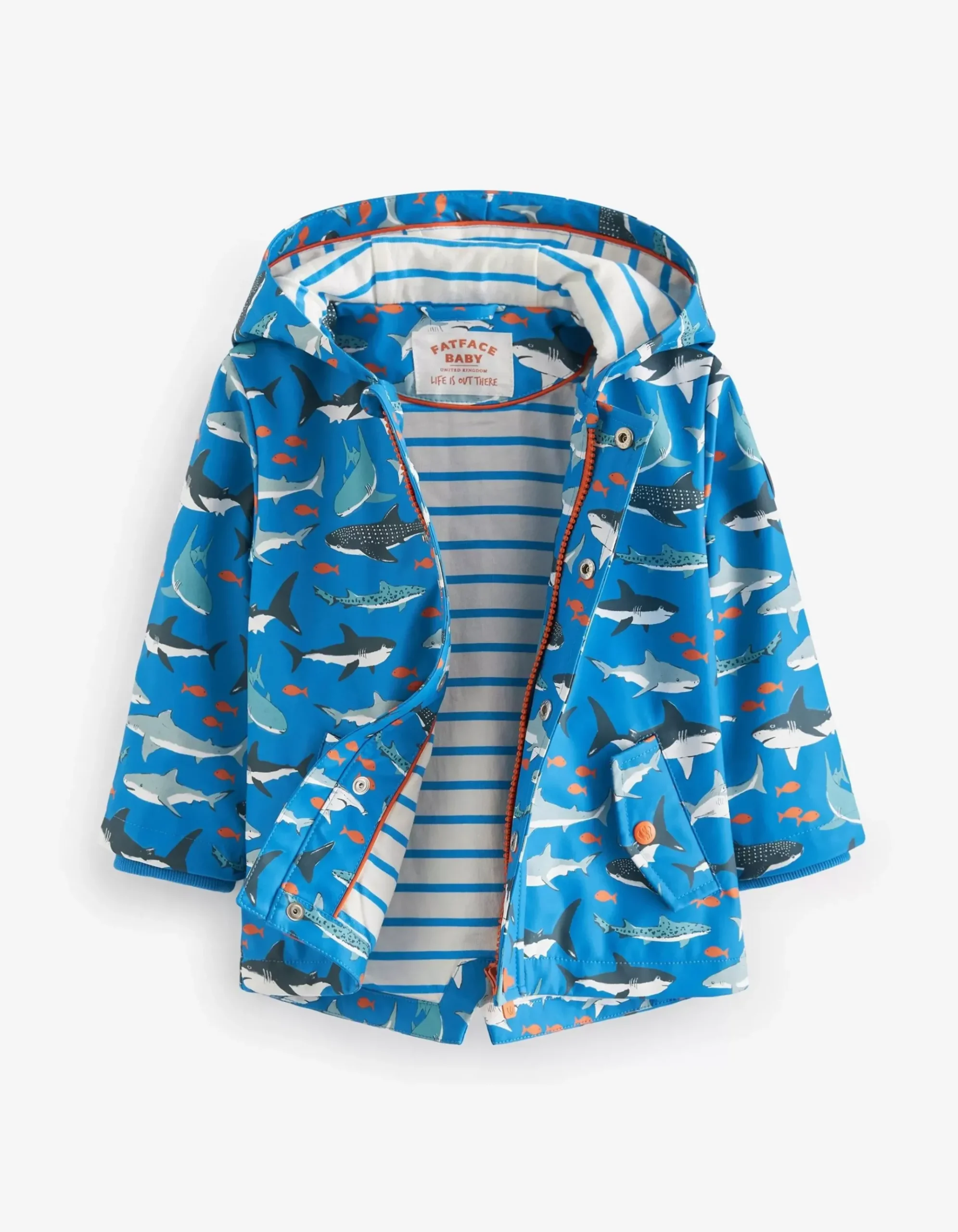 Shark Print Raincoat
