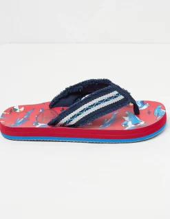 Sidney Shark Flip Flop