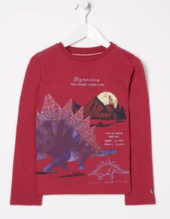 Stegosaurus Graphic T Shirt