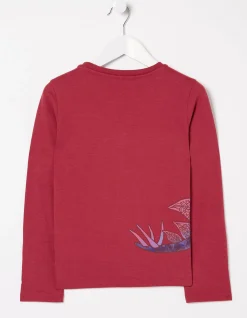 Stegosaurus Graphic T Shirt